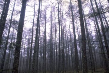 おそうじ本舗梅田北店